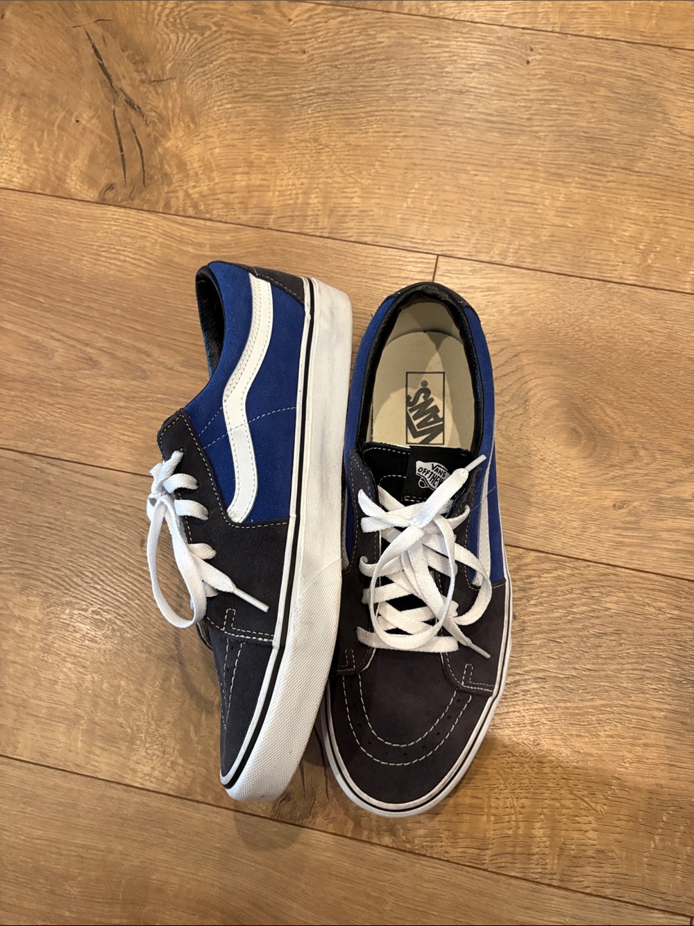 Vans Blue & Black Low-Top Skate Sneakers with White Stripe